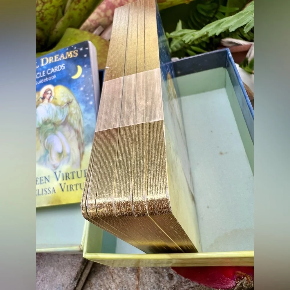 Angel Dreams Oracle Cards & Guidebook β Doreen Virtue & Melissa Virtue - Picture 10 of 15